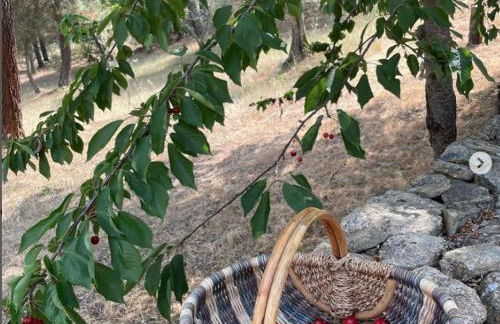 Casa do Olival - Foto 8