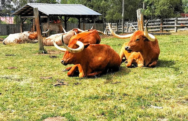 Doppelhaushaelfte in Hasselfelde - Foto 41