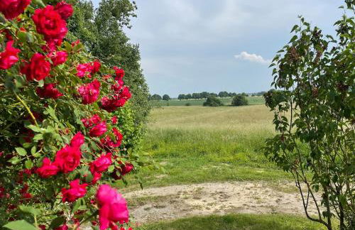 Waldhaus Wiesenblick mit Spielzimmer und Tischtennisraum - Foto 22