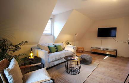 homie stay Julius Apartments - Iphofen - Foto 77