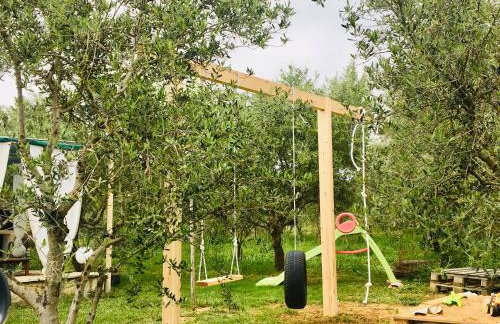 five pathways - Foto 34