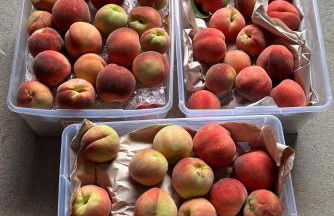 Rare 3BR House - Boise's Historic Geothermal Corridor - Foto 41