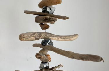 Fuchs und Elster - Foto 12