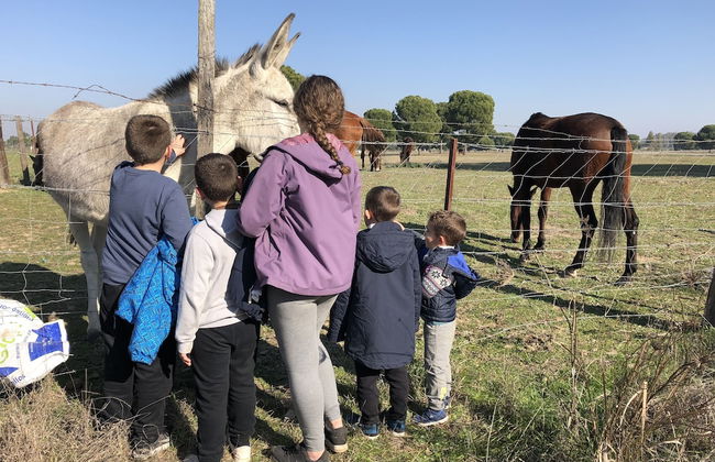 Pozo Amores - Foto 21