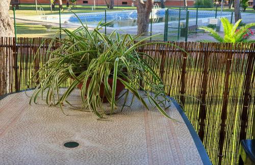 Alquiler Mazagon Pre-Parque Doñana - Foto 15