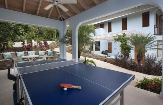 Virgin Gorda Villa Rentals - Foto 33
