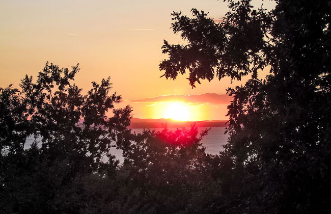 Oleandra sul Lago - Foto 33