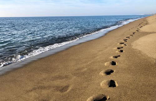 Casa Rosmarino, grill, Wi-Fi by ToscanaTour - Foto 57