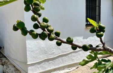 Finca El Sueño Andaluz - Foto 39