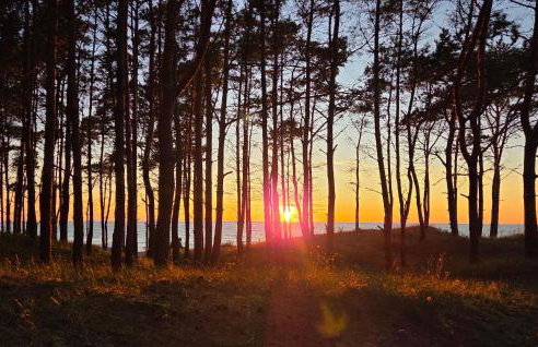 Pet Friendly Home In Osieki With Wifi - Foto 9