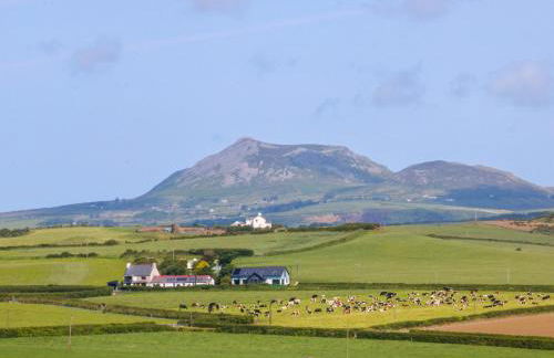 Brynffynon - Photo 26