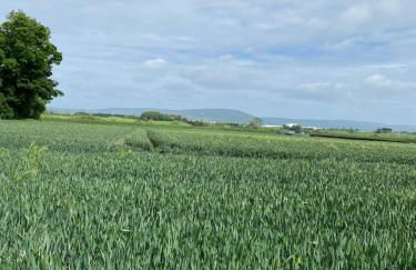 Seacoast View - Foto 40