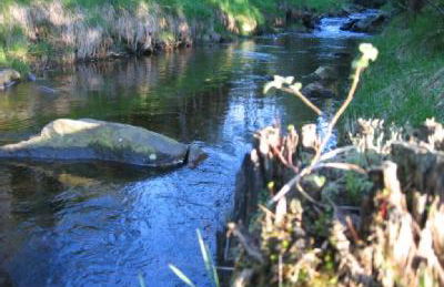 Haus am Gründel - Foto 19