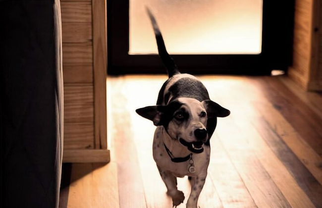 Rancho Denver - Photo 65