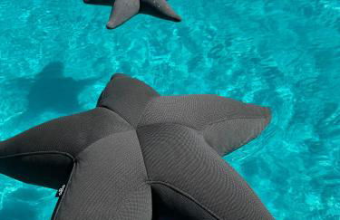 Sievershof Sieversloft - Foto 40