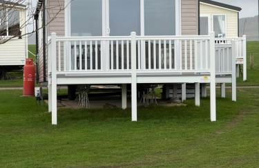 Paws a while - Foto 1