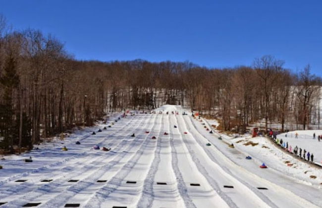 Soleil Manor White Plains - Photo 38