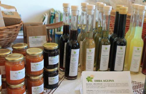 Country House Erba Regina - Foto 107