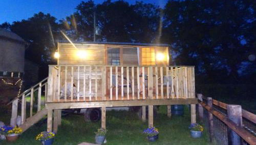 The Lazy Shepherd - Foto 5