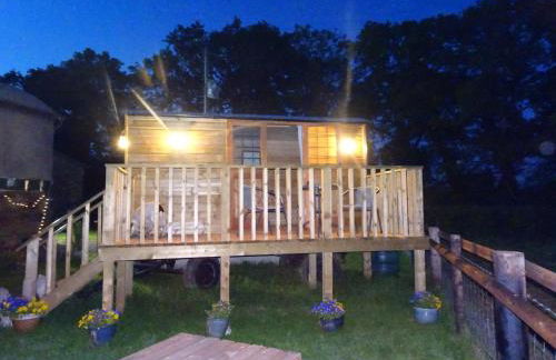 The Lazy Shepherd - Foto 5