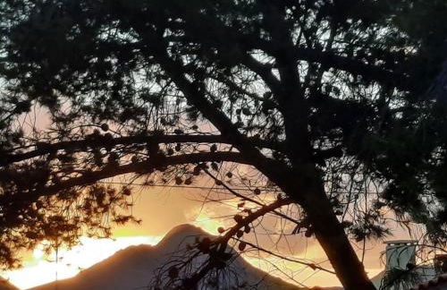 Quintinha das Lombas S - Foto 19