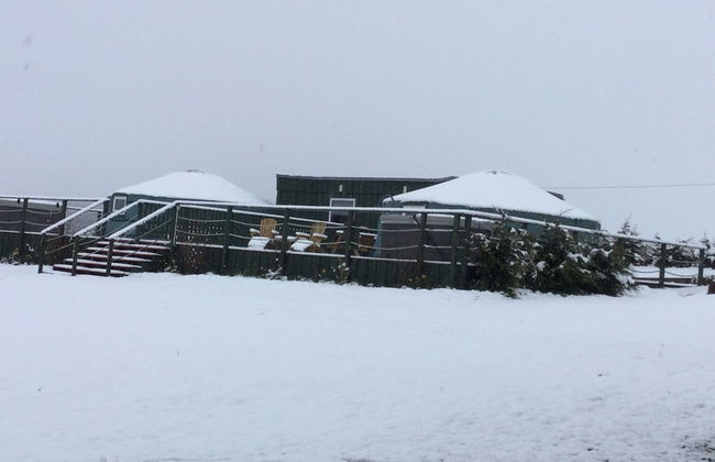 Green Yurt With Hot Tub - Sleeps 3, Parking & Wifi - Photo 35