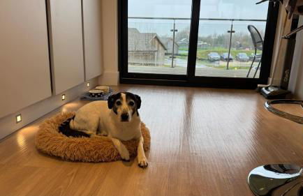 The Lake House - Photo 17