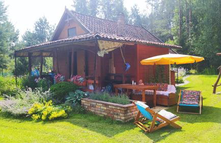 Podlaskie Żuczki - Foto 3