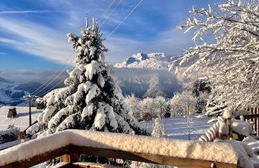 Chalet Serbijanka Alpine Retreat with Hammam Sauna and Jacuzzi for 14 Gueststs - Foto 50