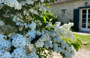 Gîtes à la ferme idéal en couple, famille ou amis - Foto 18