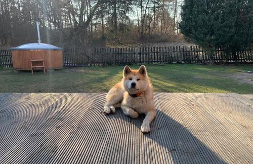 Agroturystyka Gęsiniec Stare Osieczno - Foto 73