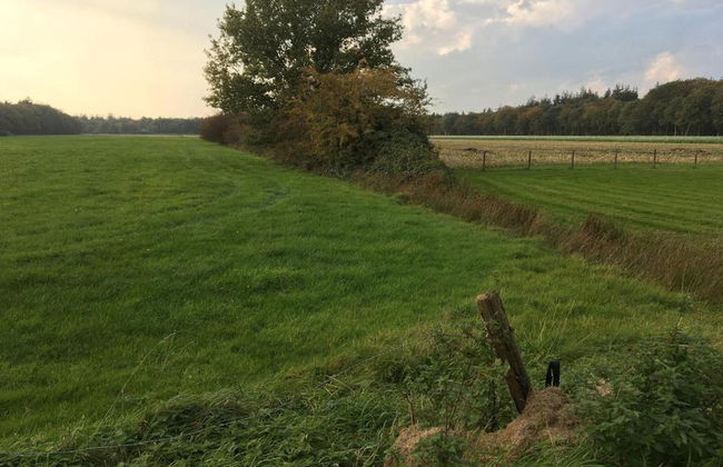 Modern Chalet Near Lake Sneek - Foto 28