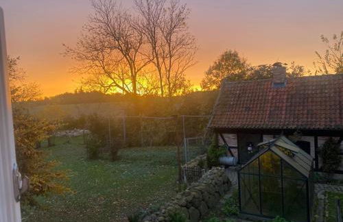 Hof Rabenstein Ostsee bei Kühlungsborn - Foto 41