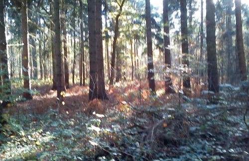 Haus Katharina - Foto 4