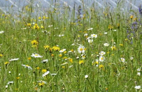 Hiemer 2 Comfortable holiday residence - Foto 23