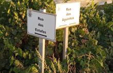 Casa Ladino no Campo - Foto 62