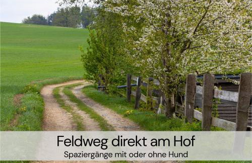 TinyHousebeiDresden mit Faßsauna spektakuläres winziges Häuschen auf Stelzen im Pferdeteich, Kaminofen, umlaufende Terrasse - Nähe Sächsische Schweiz - Von Juni - September Mindestmietzeit 1 Woche Sa-Sa - Foto 23