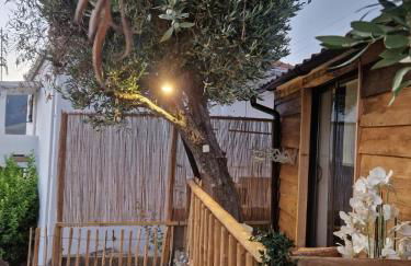 maison du olival - Photo 16