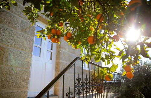 Mãe - Casas de Selim - Foto 6