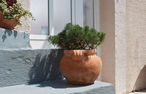 Apartments Mali Raj - Photo 38