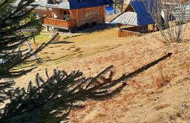 Domek Kojsówka - Foto 31