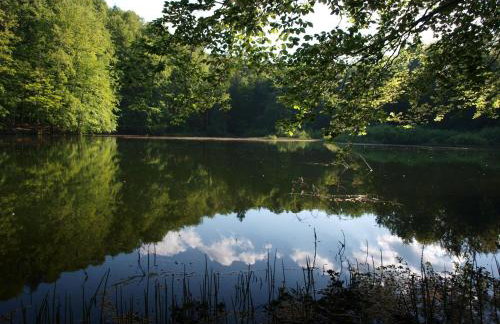 Agroturystyka Smolnikowe Klimaty - Sauna&Jacuzzi - Foto 47