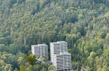 Apartment Beletage Bad Harzburg - Foto 37