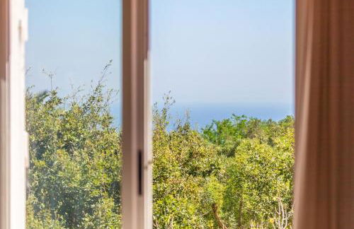 Casa Pájaro del Músico, Bolonia - Foto 53