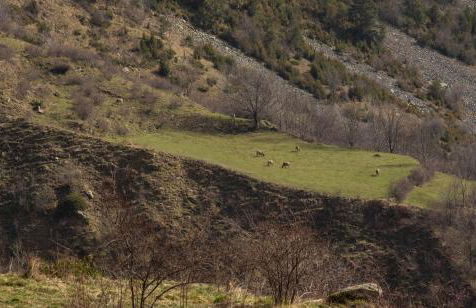 Casa Mora Vall Fosca - Foto 56