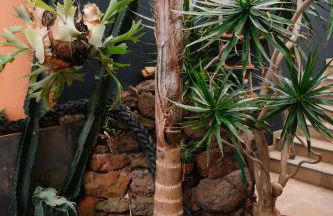 Casa do Remo - Foto 20