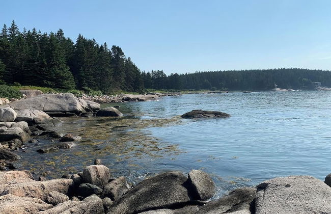 Geary House at Fifield Point - Photo 14