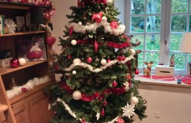 Les Volets Bleus - Foto 15