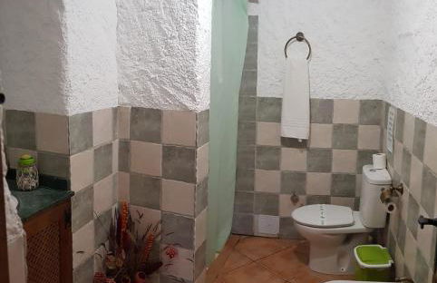 Cueva el Monteron - Foto 32