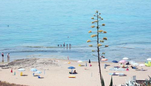 Near The Sea - Foto 4